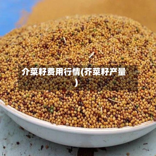 介菜籽费用行情(芥菜籽产量)-第2张图片