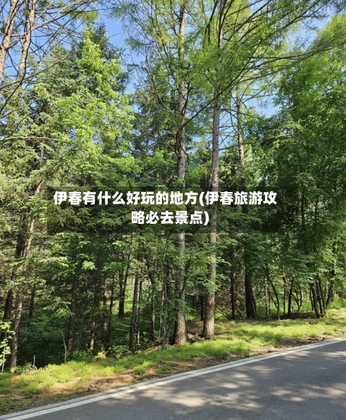 伊春有什么好玩的地方(伊春旅游攻略必去景点)-第2张图片