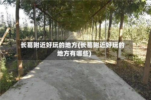 长葛附近好玩的地方(长葛附近好玩的地方有哪些)-第3张图片