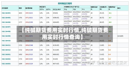 【纯碱期货费用实时行情,纯碱期货费用实时行情查询】
