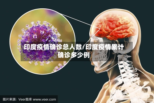 印度疫情确诊总人数/印度疫情累计确诊多少例-第2张图片