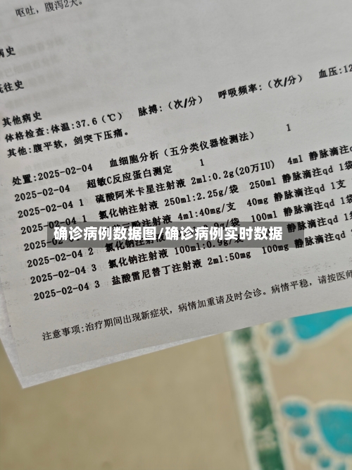 确诊病例数据图/确诊病例实时数据-第3张图片