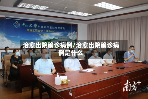 治愈出院确诊病例/治愈出院确诊病例是什么