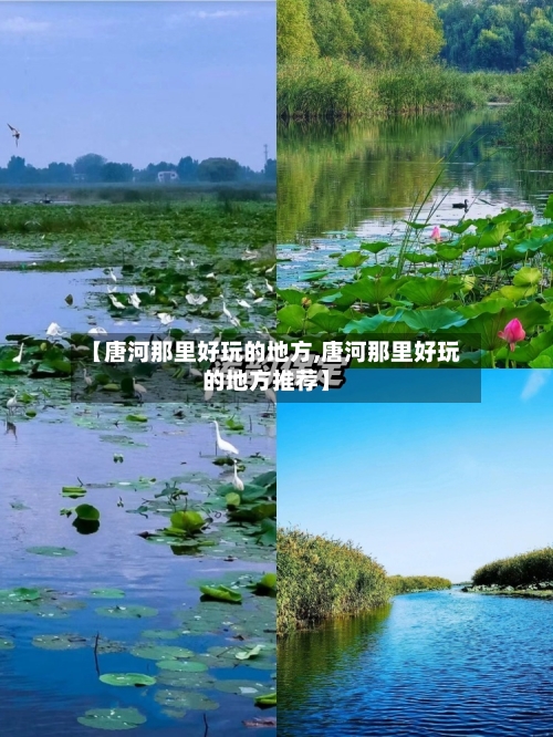 【唐河那里好玩的地方,唐河那里好玩的地方推荐】-第2张图片