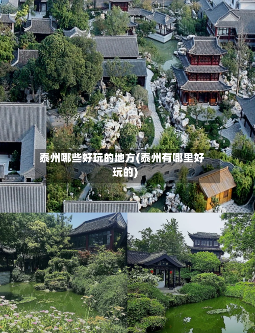泰州哪些好玩的地方(泰州有哪里好玩的)-第3张图片