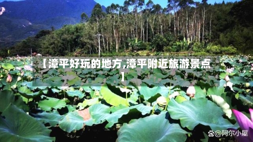 【漳平好玩的地方,漳平附近旅游景点】-第1张图片