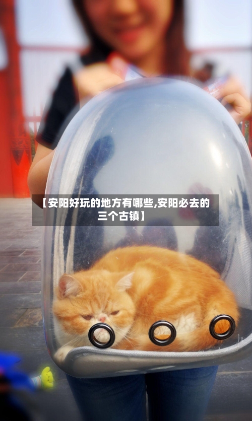 【安阳好玩的地方有哪些,安阳必去的三个古镇】-第2张图片