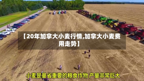 【20年加拿大小麦行情,加拿大小麦费用走势】