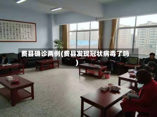 费县确诊两例(费县发现冠状病毒了吗)-第1张图片