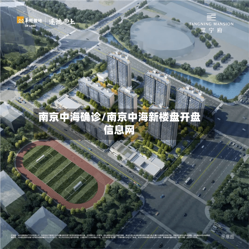 南京中海确诊/南京中海新楼盘开盘信息网