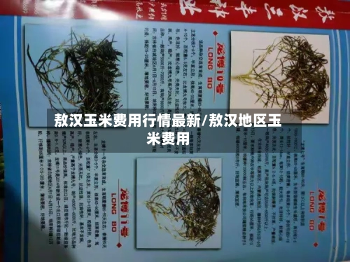 敖汉玉米费用行情最新/敖汉地区玉米费用
