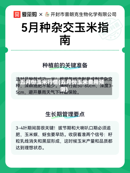 五月份玉米行情(五月份玉米费用预测)-第2张图片