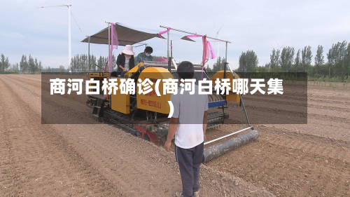商河白桥确诊(商河白桥哪天集)