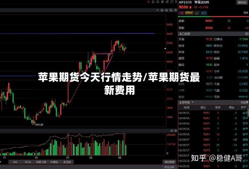 苹果期货今天行情走势/苹果期货最新费用