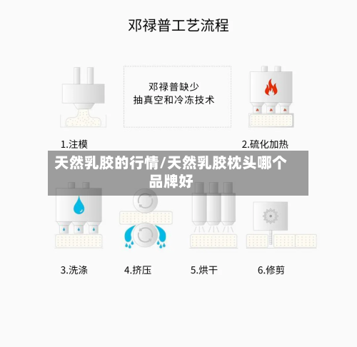 天然乳胶的行情/天然乳胶枕头哪个品牌好-第3张图片