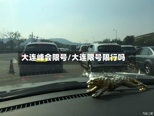 大连峰会限号/大连限号限行吗