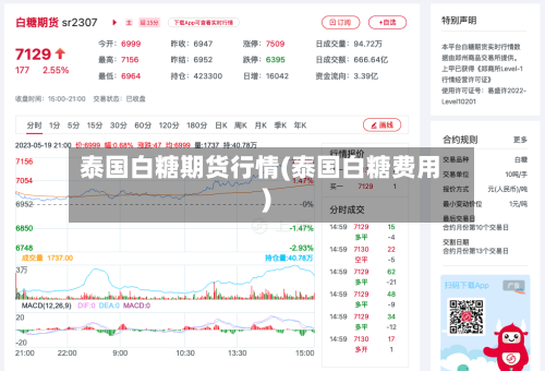 泰国白糖期货行情(泰国白糖费用)