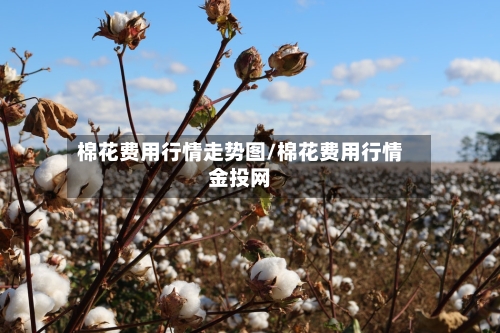 棉花费用行情走势图/棉花费用行情金投网