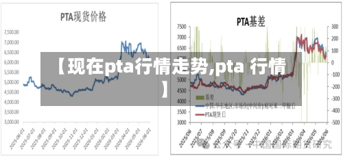 【现在pta行情走势,pta 行情】