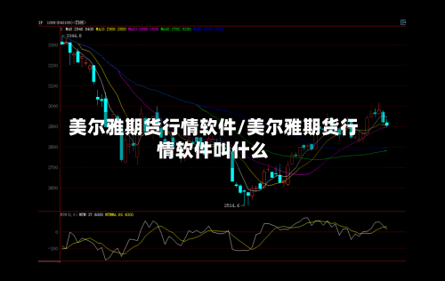 美尔雅期货行情软件/美尔雅期货行情软件叫什么-第2张图片