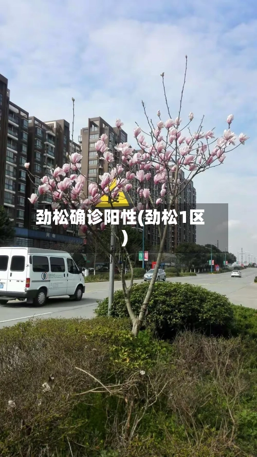 劲松确诊阳性(劲松1区)-第1张图片