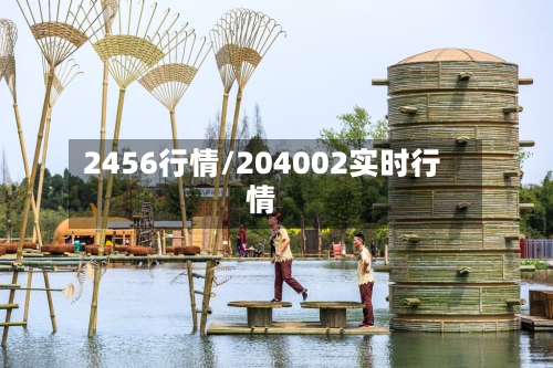 2456行情/204002实时行情