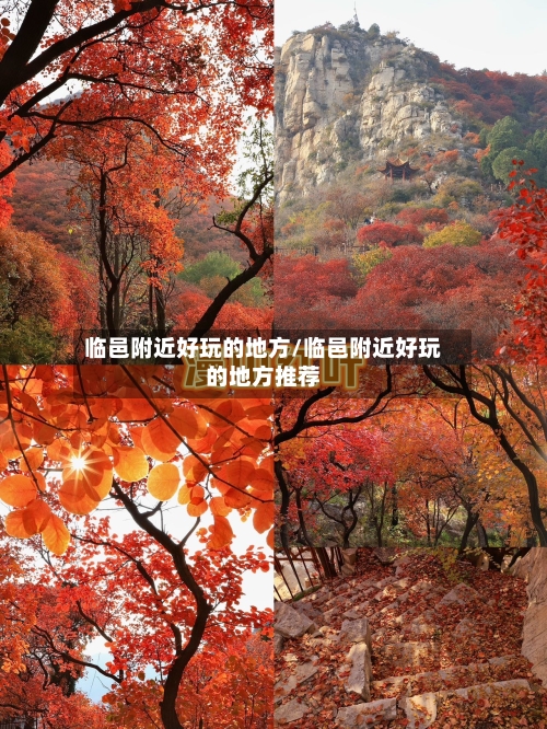 临邑附近好玩的地方/临邑附近好玩的地方推荐-第3张图片