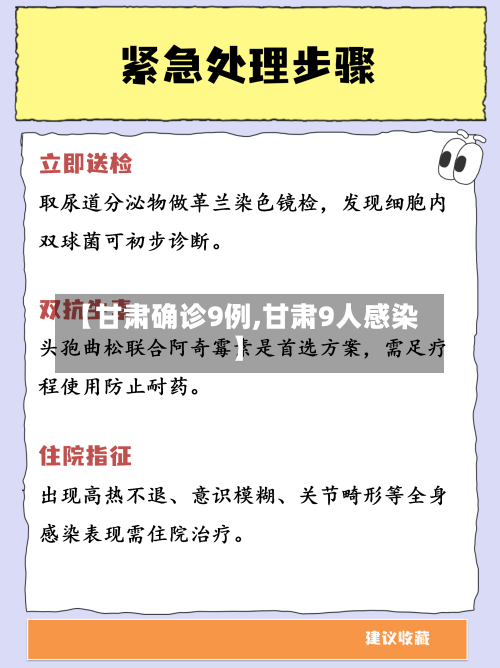 【甘肃确诊9例,甘肃9人感染】-第2张图片