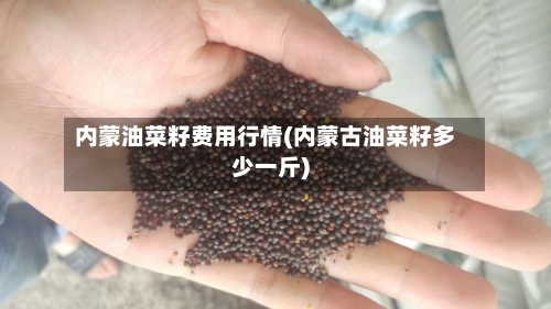 内蒙油菜籽费用行情(内蒙古油菜籽多少一斤)