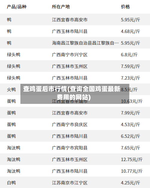 查鸡蛋后市行情(查询全国鸡蛋最新费用的网站)-第1张图片