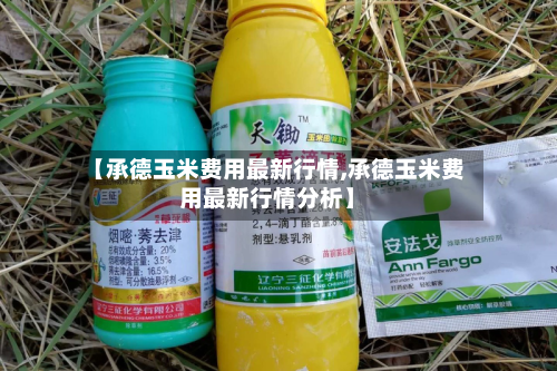 【承德玉米费用最新行情,承德玉米费用最新行情分析】
