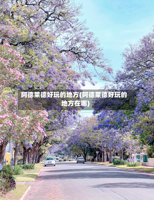 阿德莱德好玩的地方(阿德莱德好玩的地方在哪)-第1张图片