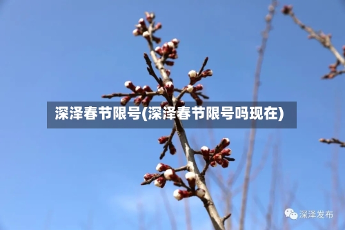 深泽春节限号(深泽春节限号吗现在)-第1张图片