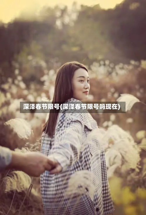 深泽春节限号(深泽春节限号吗现在)-第3张图片