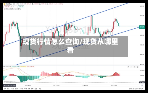 现货行情怎么查询/现货从哪里看-第1张图片