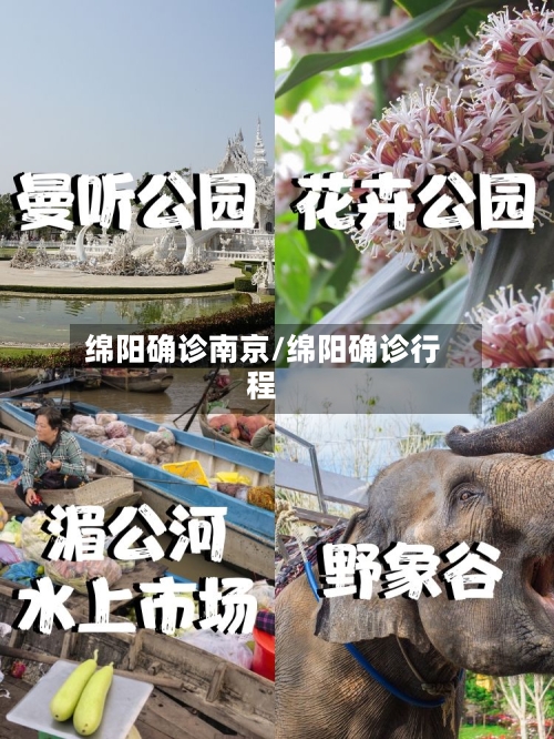 绵阳确诊南京/绵阳确诊行程-第2张图片