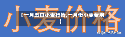 【一月五日小麦行情,一月份小麦费用】-第2张图片