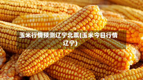 玉米行情预测辽宁北票(玉米今日行情辽宁)-第2张图片