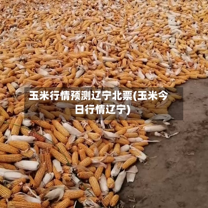 玉米行情预测辽宁北票(玉米今日行情辽宁)