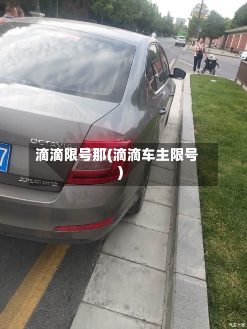 滴滴限号那(滴滴车主限号)