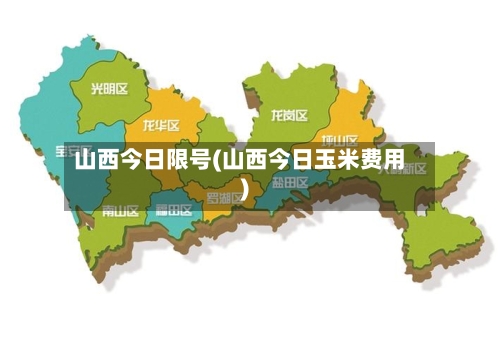 山西今日限号(山西今日玉米费用)-第2张图片