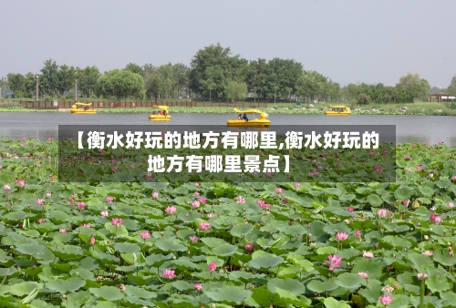 【衡水好玩的地方有哪里,衡水好玩的地方有哪里景点】-第2张图片