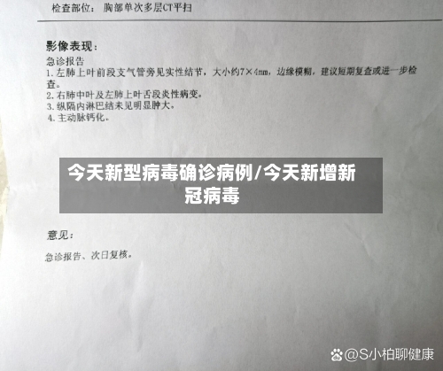 今天新型病毒确诊病例/今天新增新冠病毒-第3张图片