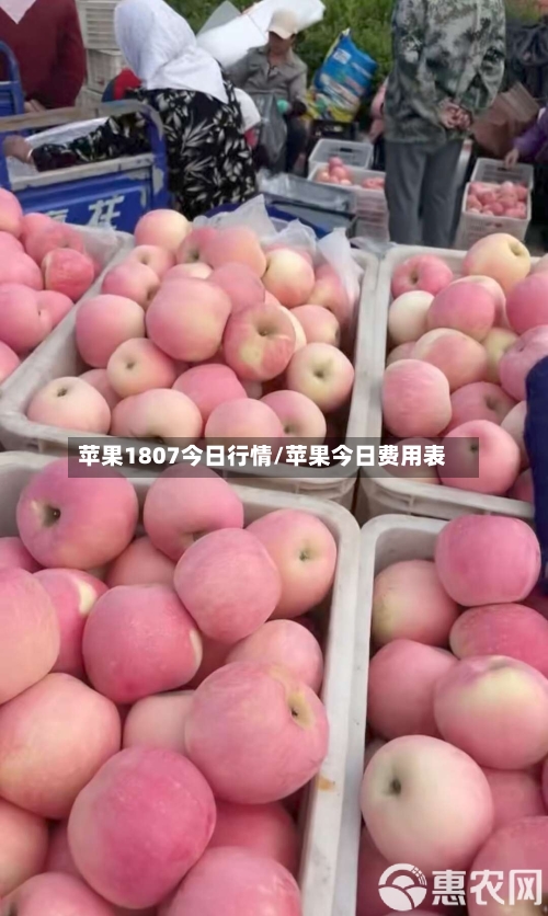 苹果1807今日行情/苹果今日费用表-第1张图片