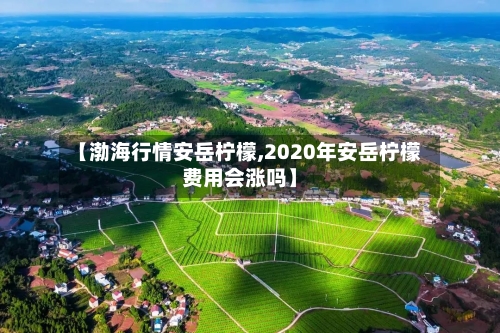 【渤海行情安岳柠檬,2020年安岳柠檬费用会涨吗】-第1张图片