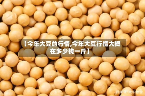 【今年大豆的行情,今年大豆行情大概在多少钱一斤】-第2张图片