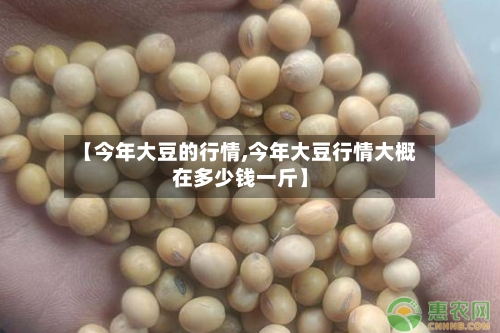 【今年大豆的行情,今年大豆行情大概在多少钱一斤】