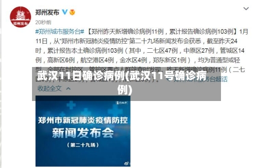 武汉11日确诊病例(武汉11号确诊病例)-第2张图片