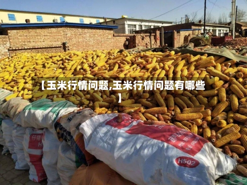 【玉米行情问题,玉米行情问题有哪些】-第3张图片