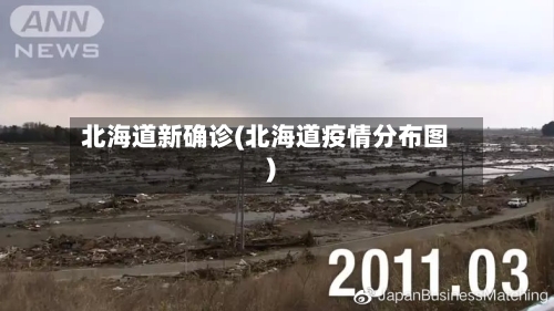 北海道新确诊(北海道疫情分布图)-第2张图片